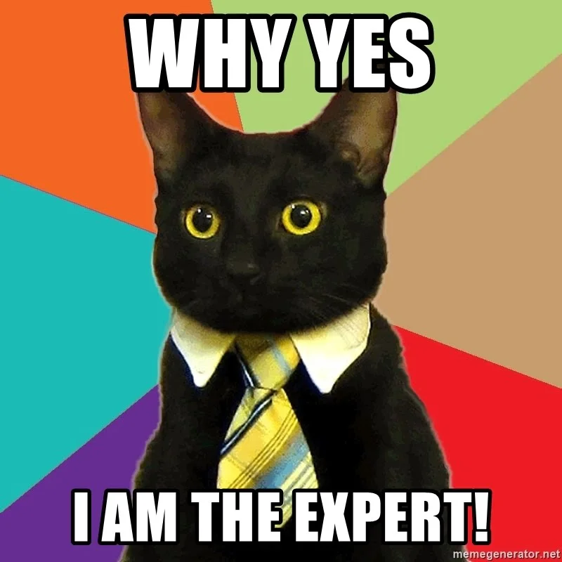 expert