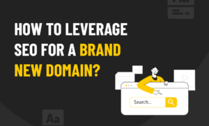 leverage SEO for a brand new domain