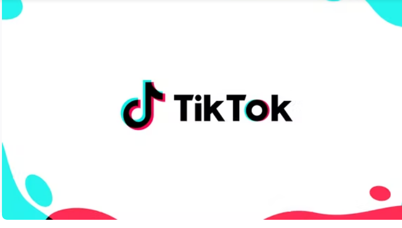 TikTok Ad Statistics