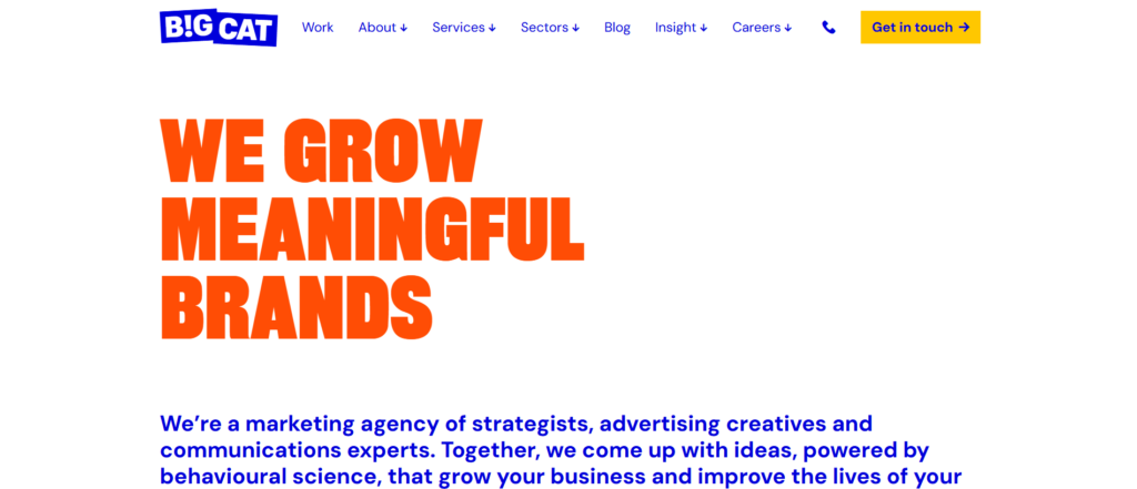 4. Big Cat Agency