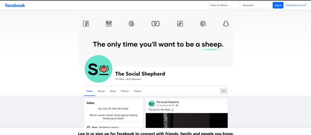 2. The Social Shepherd