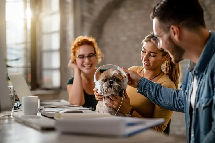 PPC for Pet Services 10 PPC for Pet Services