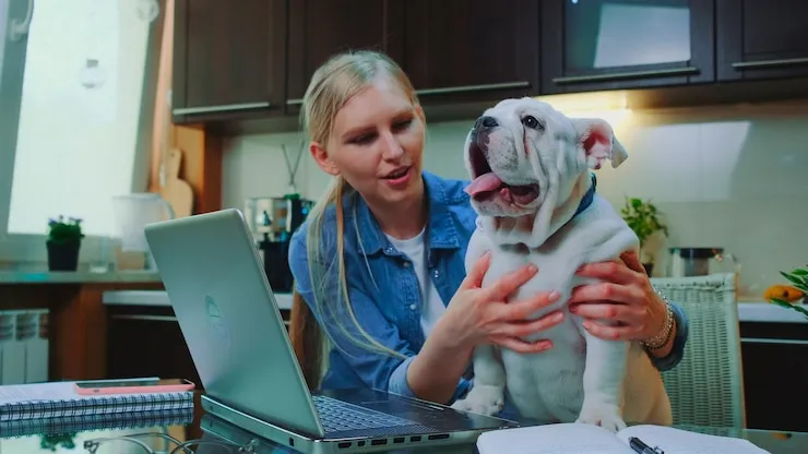 PPC for Pet Services 17 Retargeting and Cross-Device Audience Segments