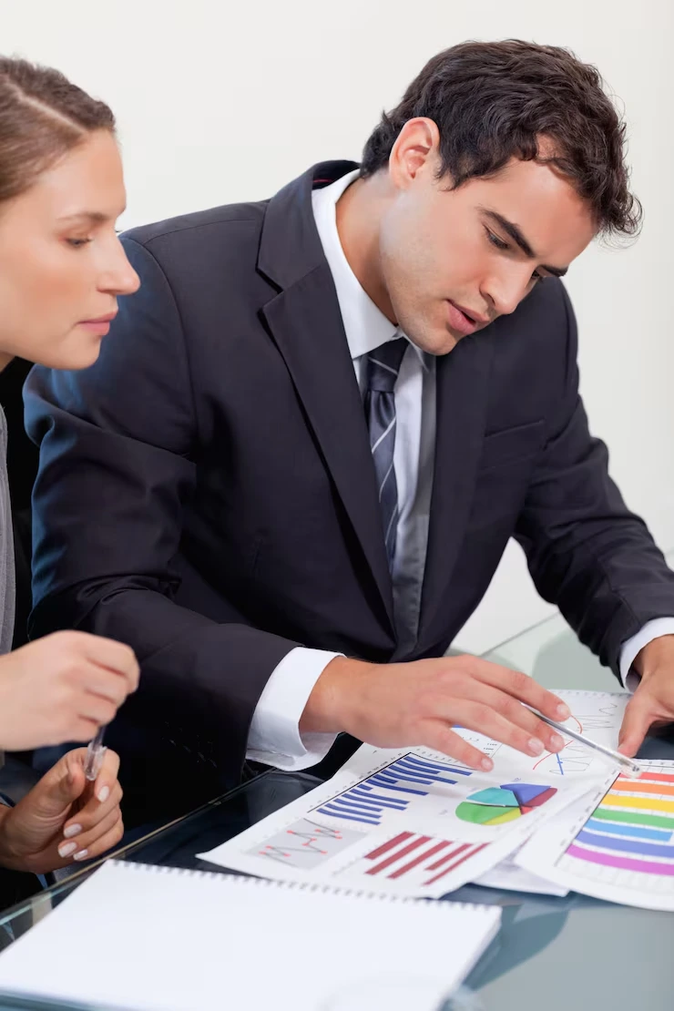 LLM Audit And Entity Relevance Score Analysis