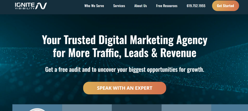 Top 10 Custom E-commerce SEO Agencies in 2026 Ignite Visibility 1