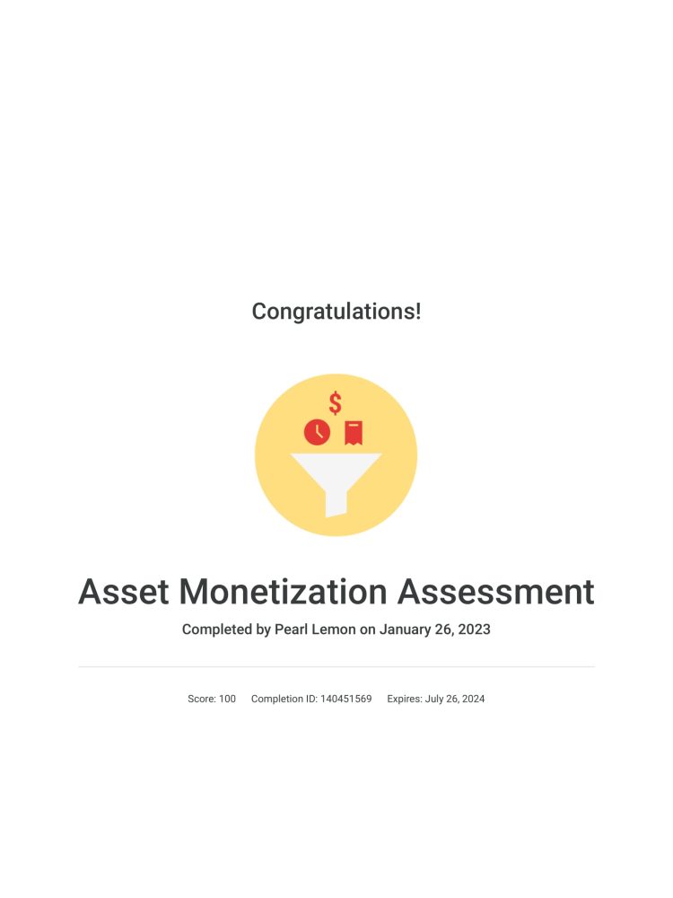Asset Monetization Assessment _ Google-1