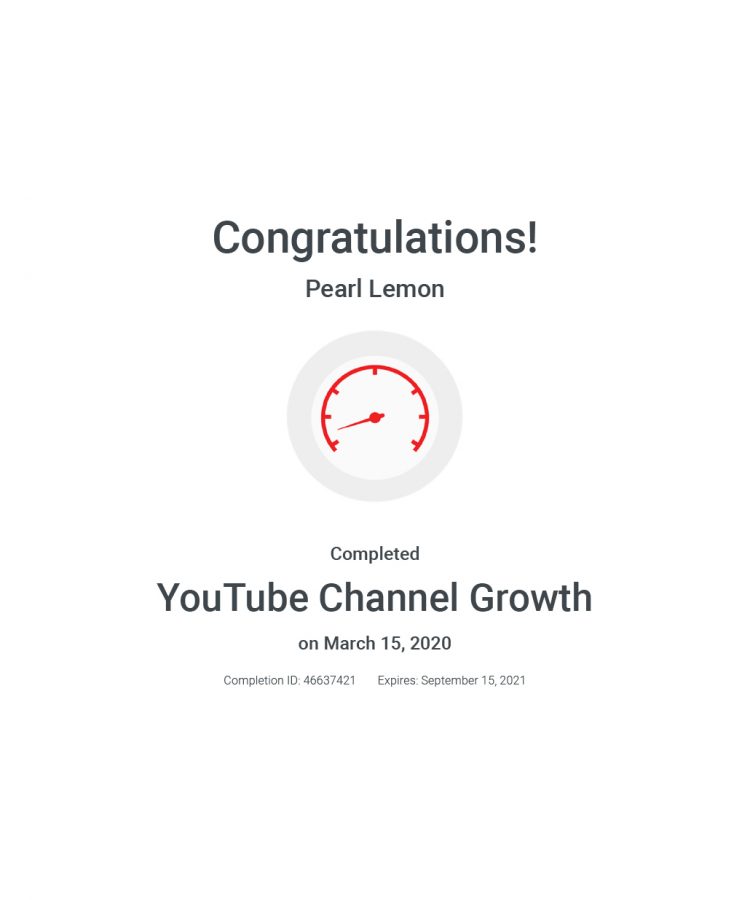 You Tube Channel Growth